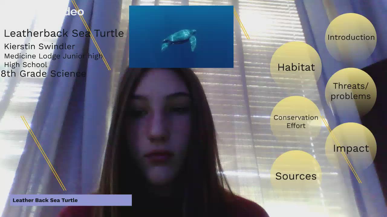 Kierstin- Leatherback sea Turtle by Kierstin Swindler on Prezi Video