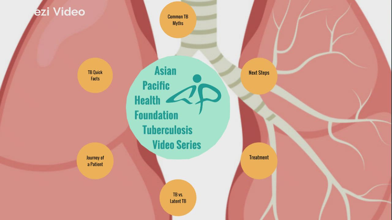 TB Project - TB Quick Facts by Andre Hirakawa on Prezi Video