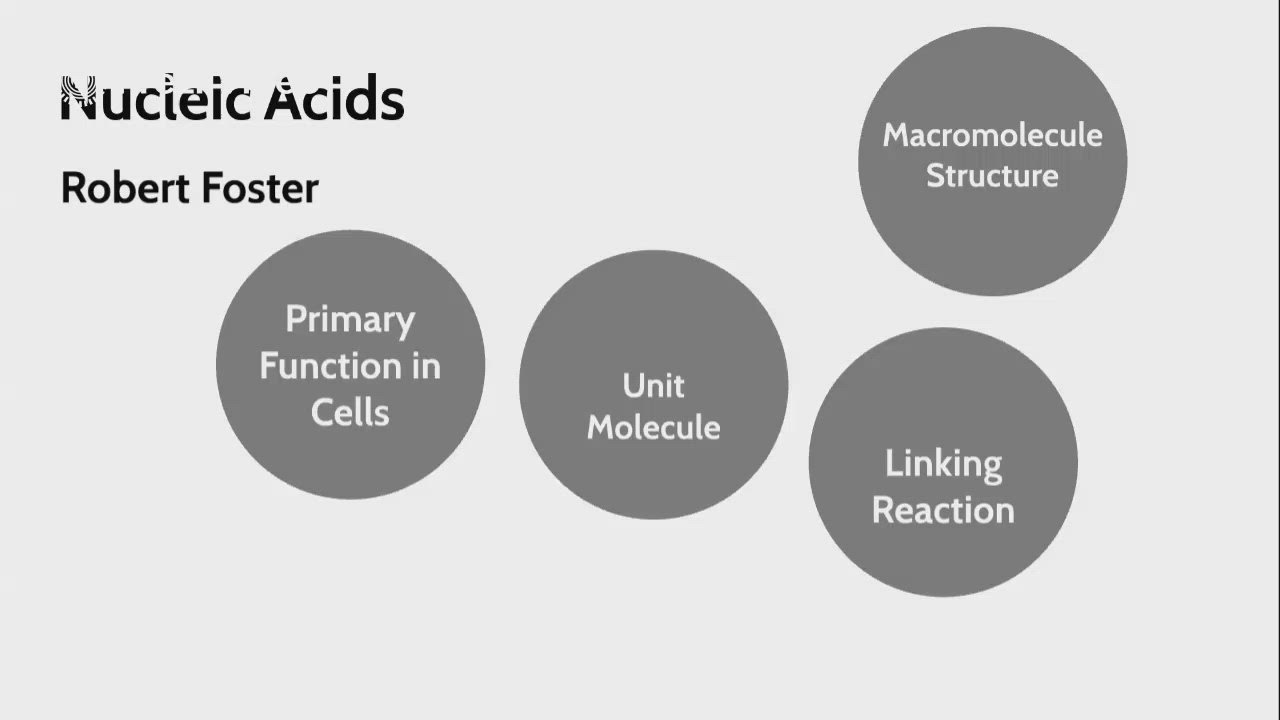 Nucleic Acids by Robert Foster on Prezi Video