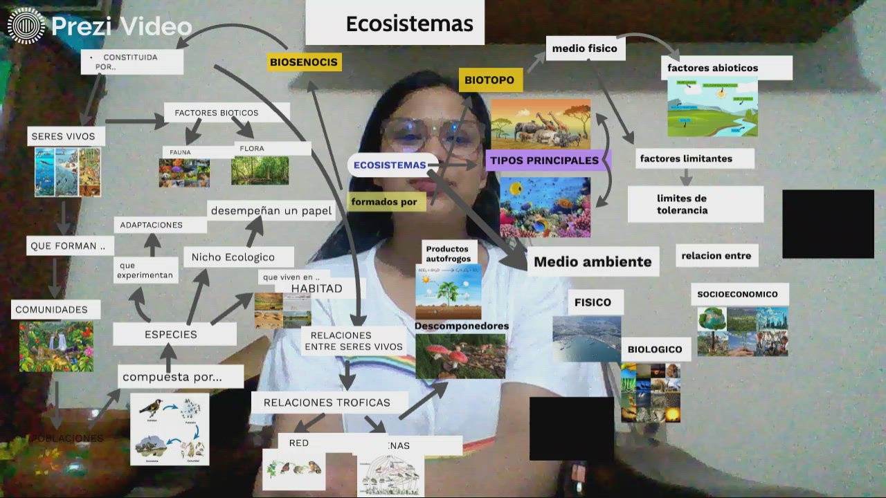 Copia de ecosistemas by juana torres gallegos on Prezi Video