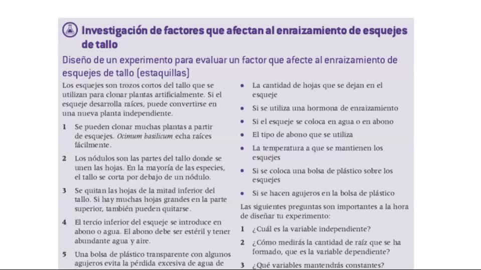 Vídeo sin título