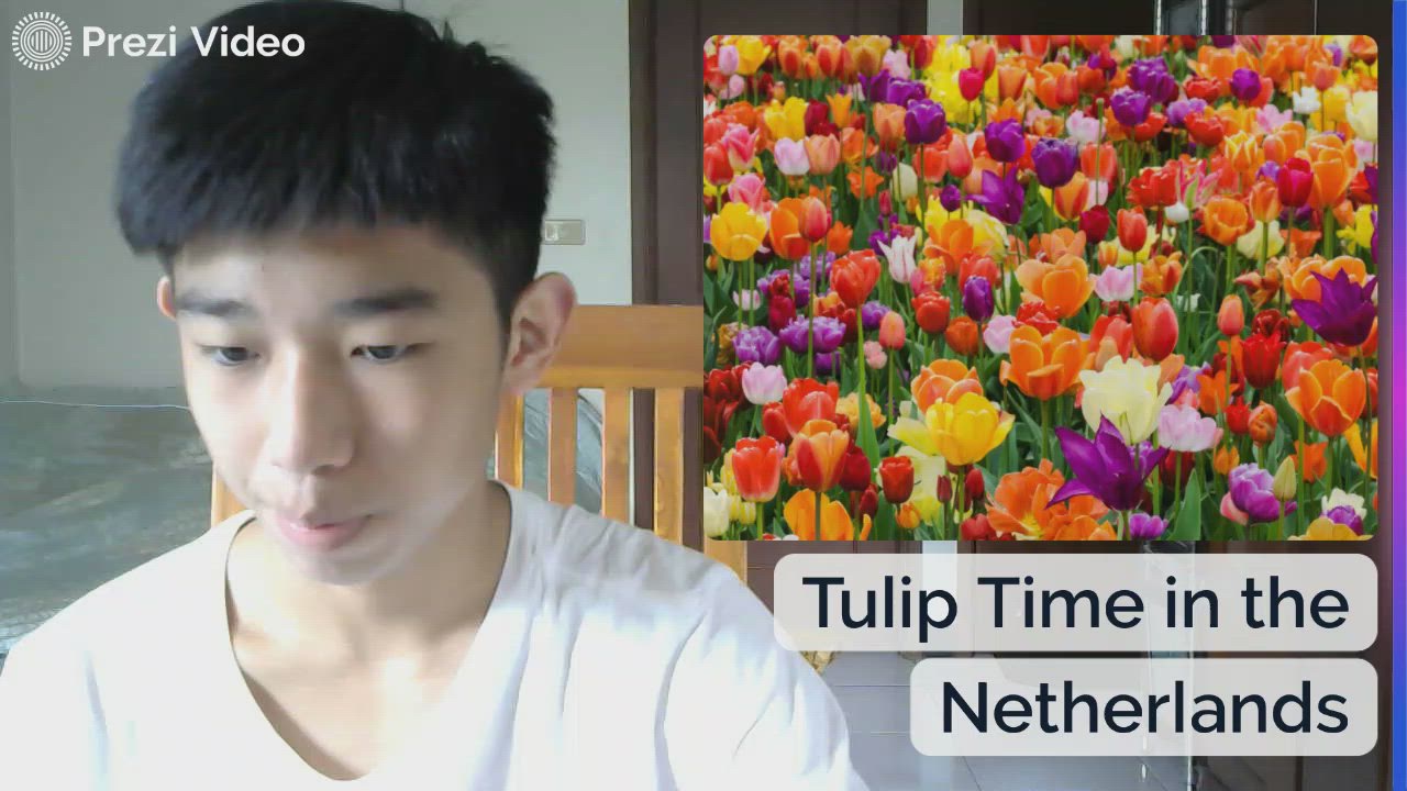 Tulip Time In The Netherlands By On Prezi Video