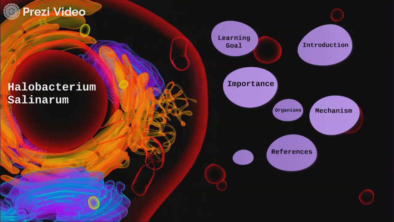 Halobacterium Salinarum by Jeremy Pham on Prezi Video