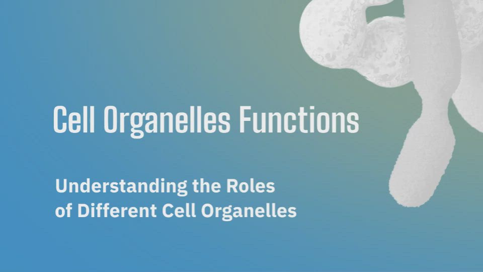 Cell Organelles Functions by Antonio Santana on Prezi Video