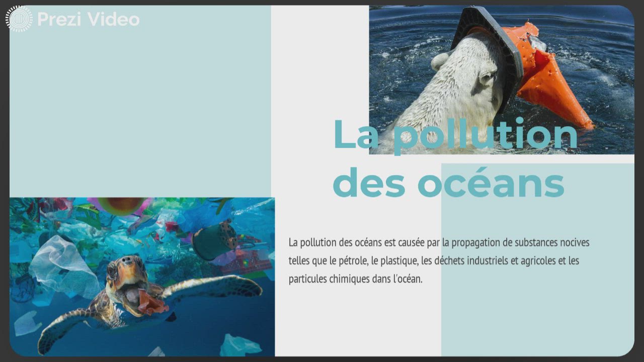 La Pollution Des Oceans By Eline Whoknows On Prezi Video