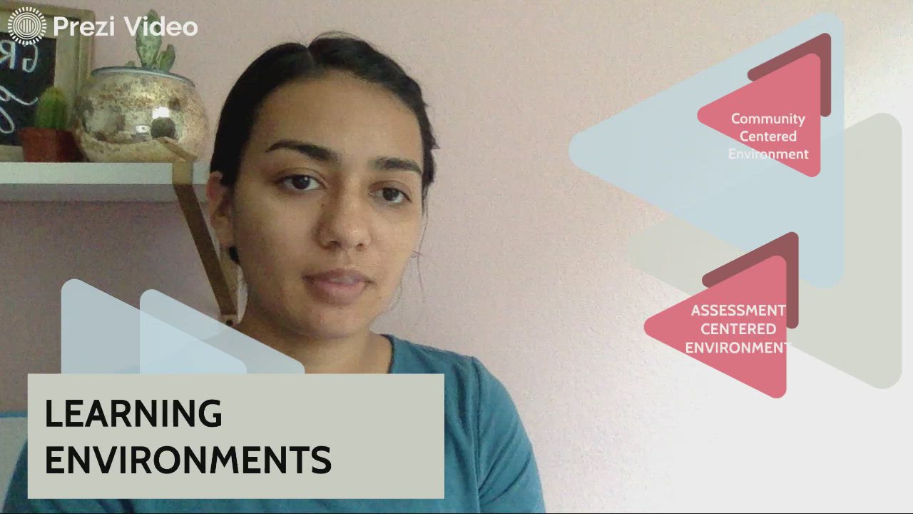 Assessment and Community centered Learning Enviroment by Yanitza ...