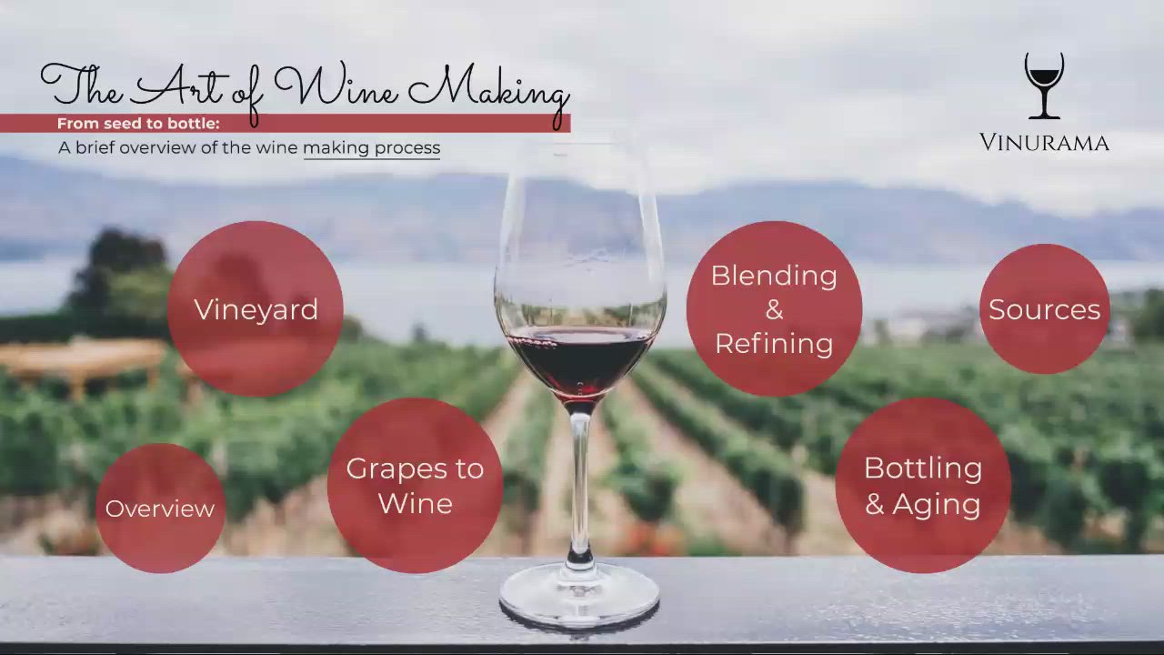 The art of wine making 1 by Luis Romero on Prezi Video