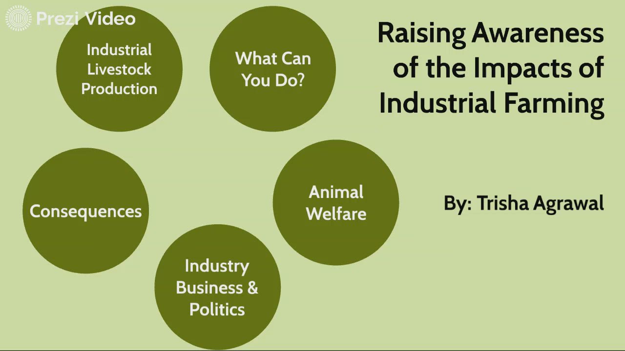 Impacts of Industrial farming by Trisha A on Prezi Video