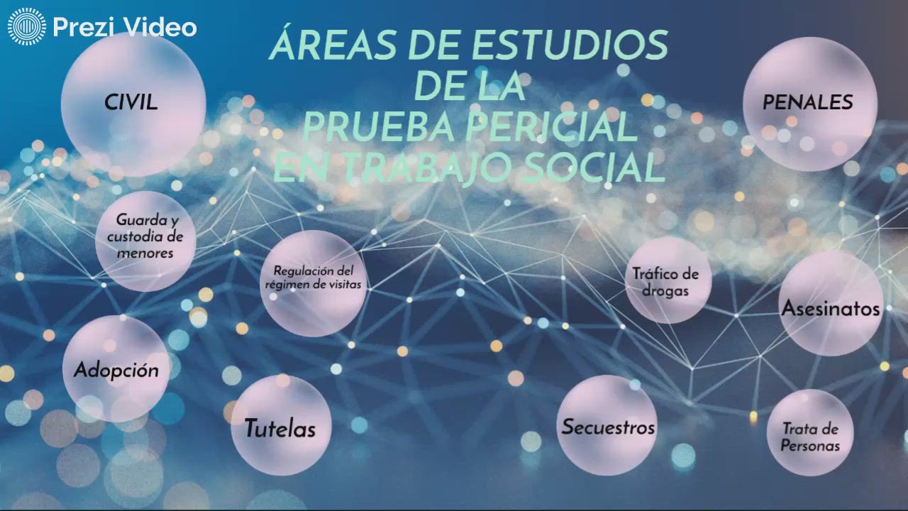 Áreas de estudio de la prueba pericial en trabajo social by ERIKA