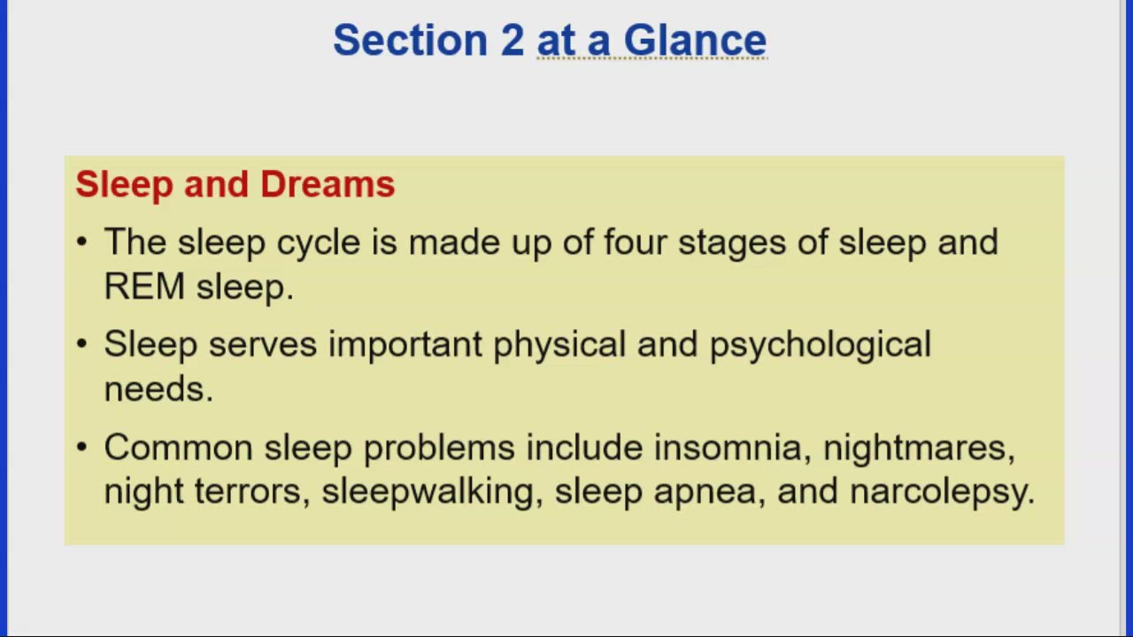 psychology Sleep and dreams Part 1 by Teacher MAS on Prezi Video