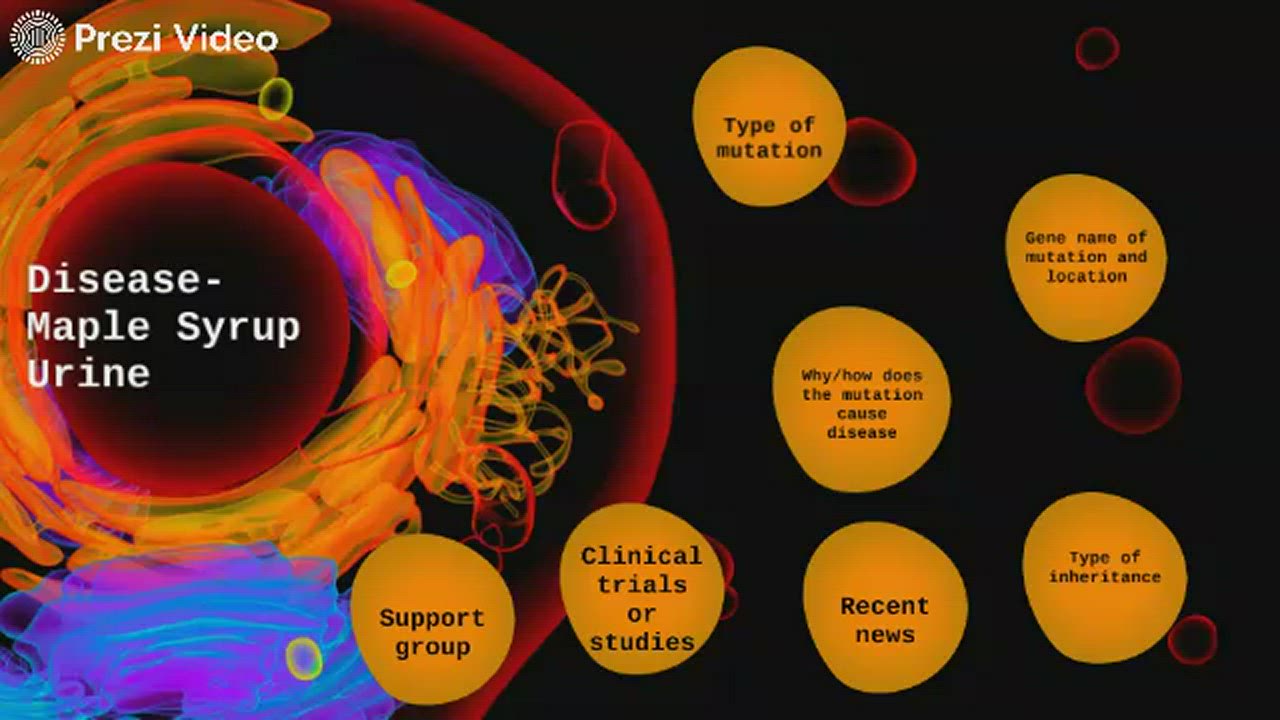 Disease Maple Syrup Urine Disease(MSUD) by Cason Cribbs on Prezi Video