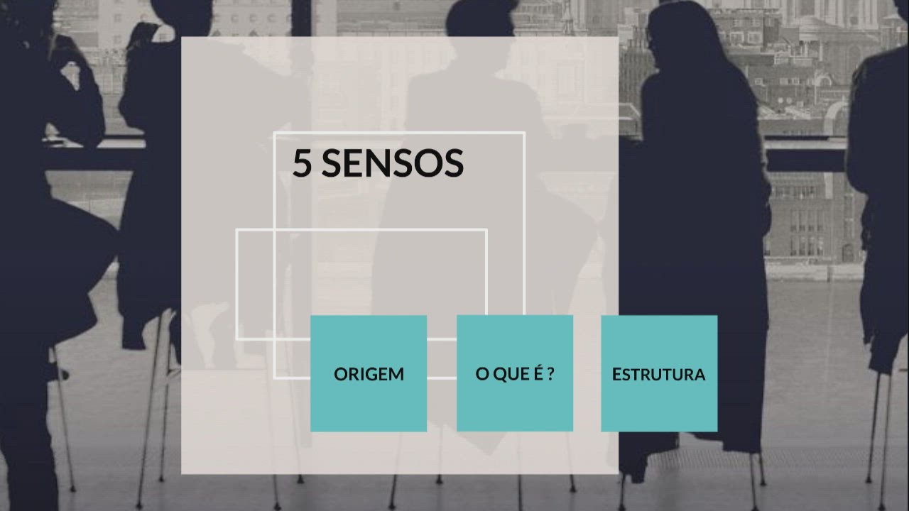 5 S TPM by Fernanda Kelly on Prezi Video