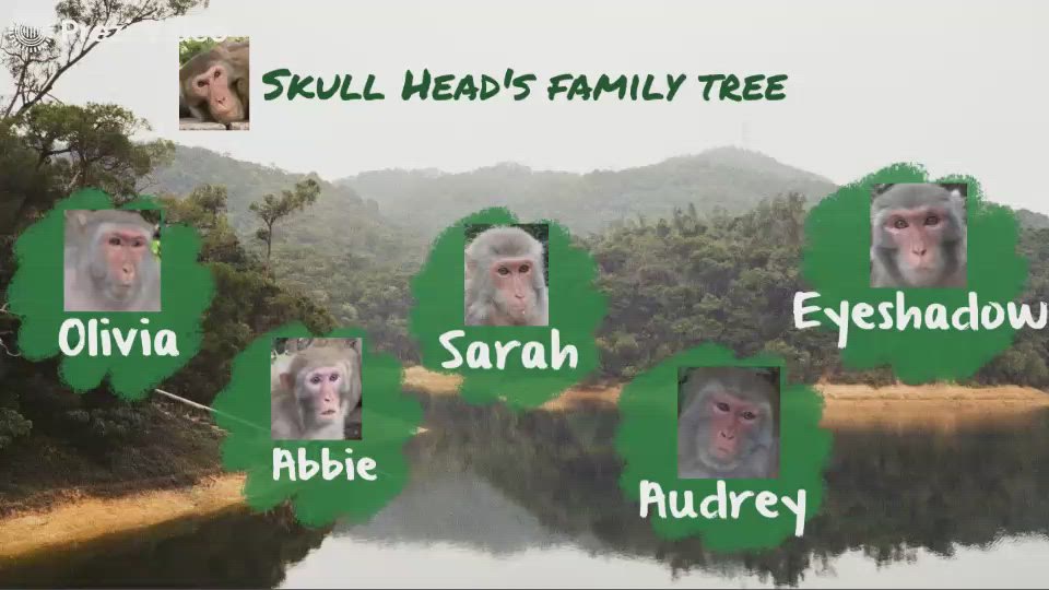 Sk Family Tree