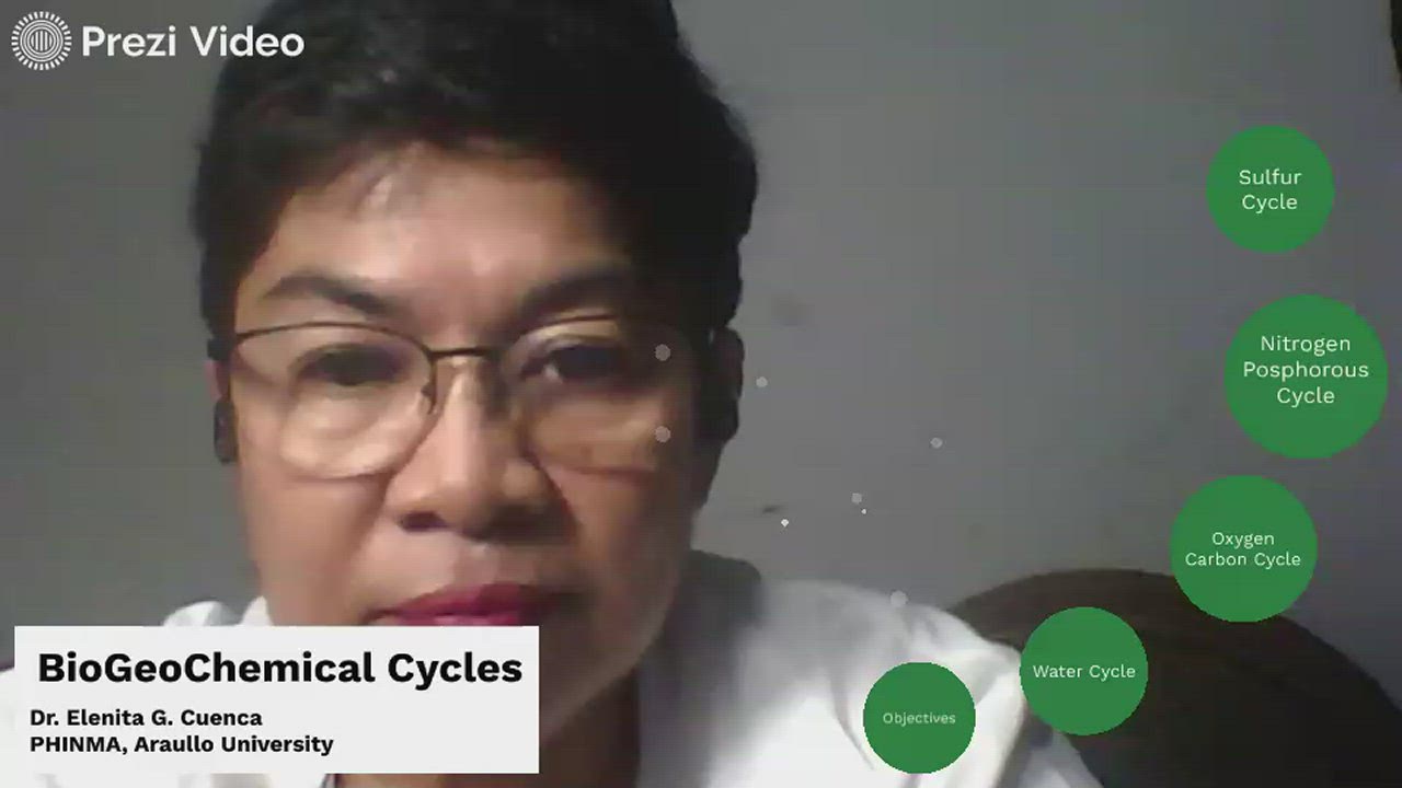 Biogeochemical Cycles