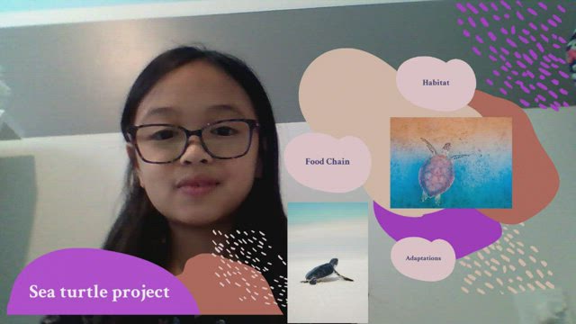Jazmine Sea turtle project by Anthony Dass on Prezi Video