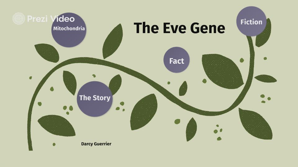 The Eve Gene by Darcy Guerrier on Prezi Video