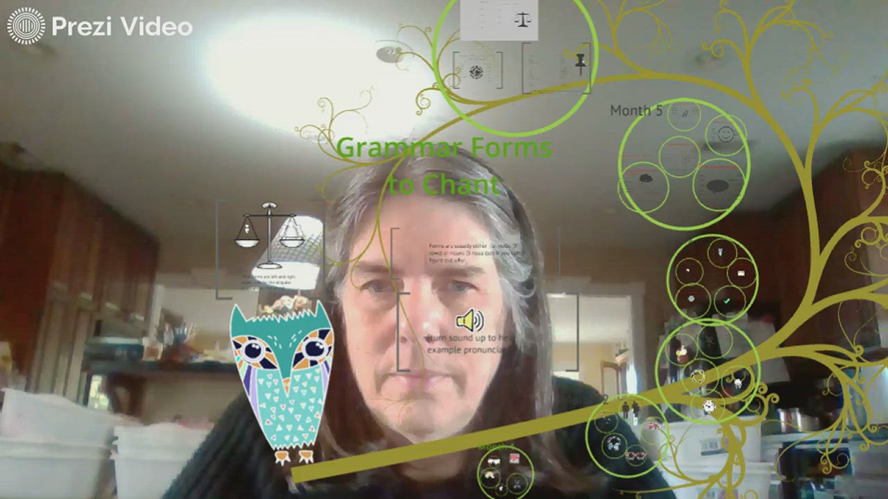 Month 1 grammar forms by susan rohrbach on prezi video