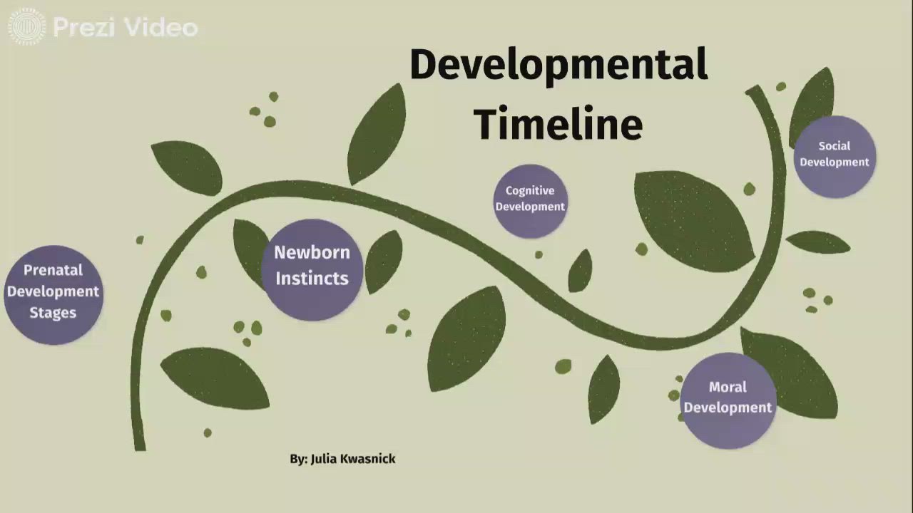 Developmental Timeline by Julia Kwasnick on Prezi Video
