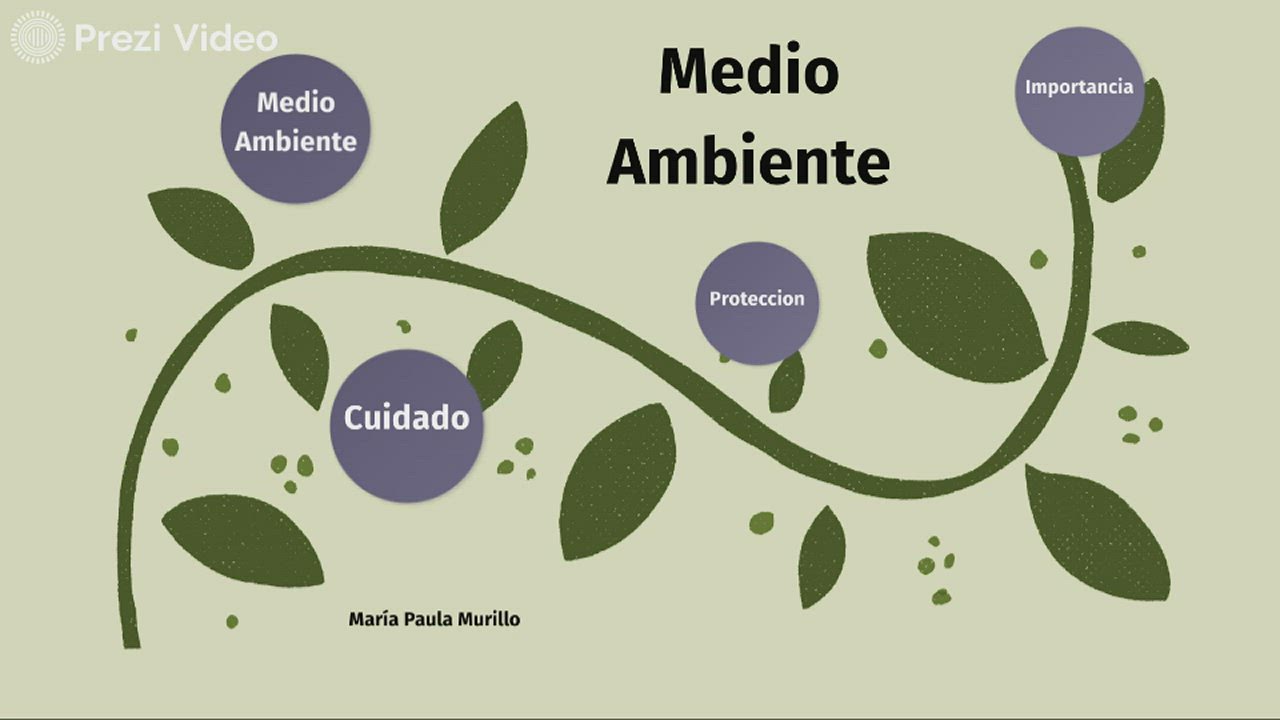 MEDIO AMBIENTE by Maria Paula Murillo on Prezi Video