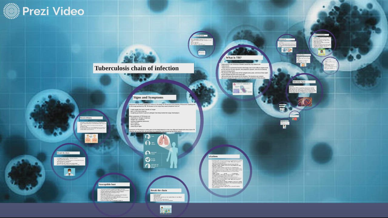 Bacteria chain of infection by on Prezi Video