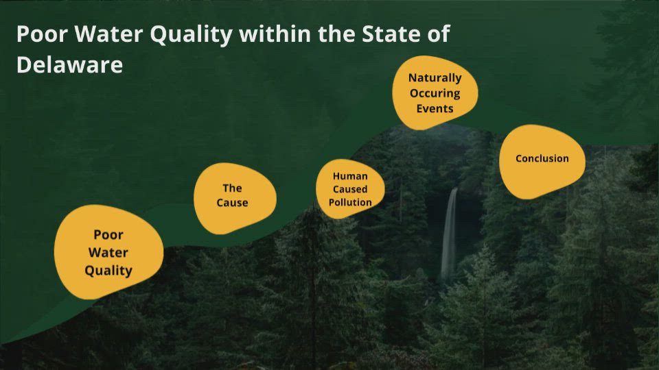 Water Pollution in the State of Delaware by Kyle Thomas on Prezi Video