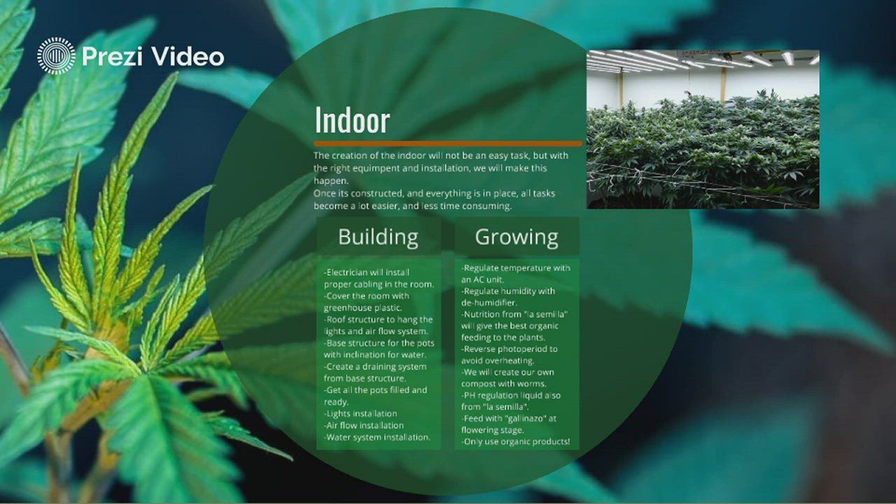 Peye Farms Indoor Part 2 by Pedro Figueras Castañeda on Prezi Video