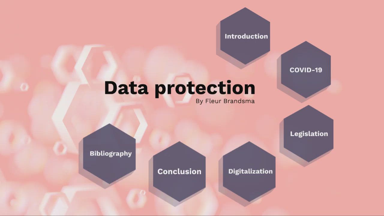 Data Protection By Fleur Brandsma On Prezi Video
