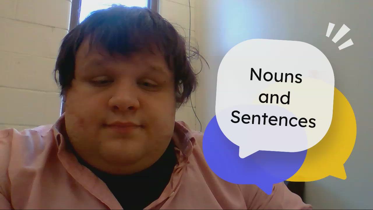 Nouns and Sentences