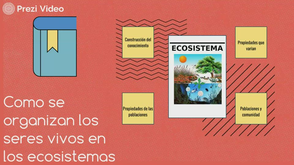 Los ecosistemas by Jennifer Solis on Prezi Video