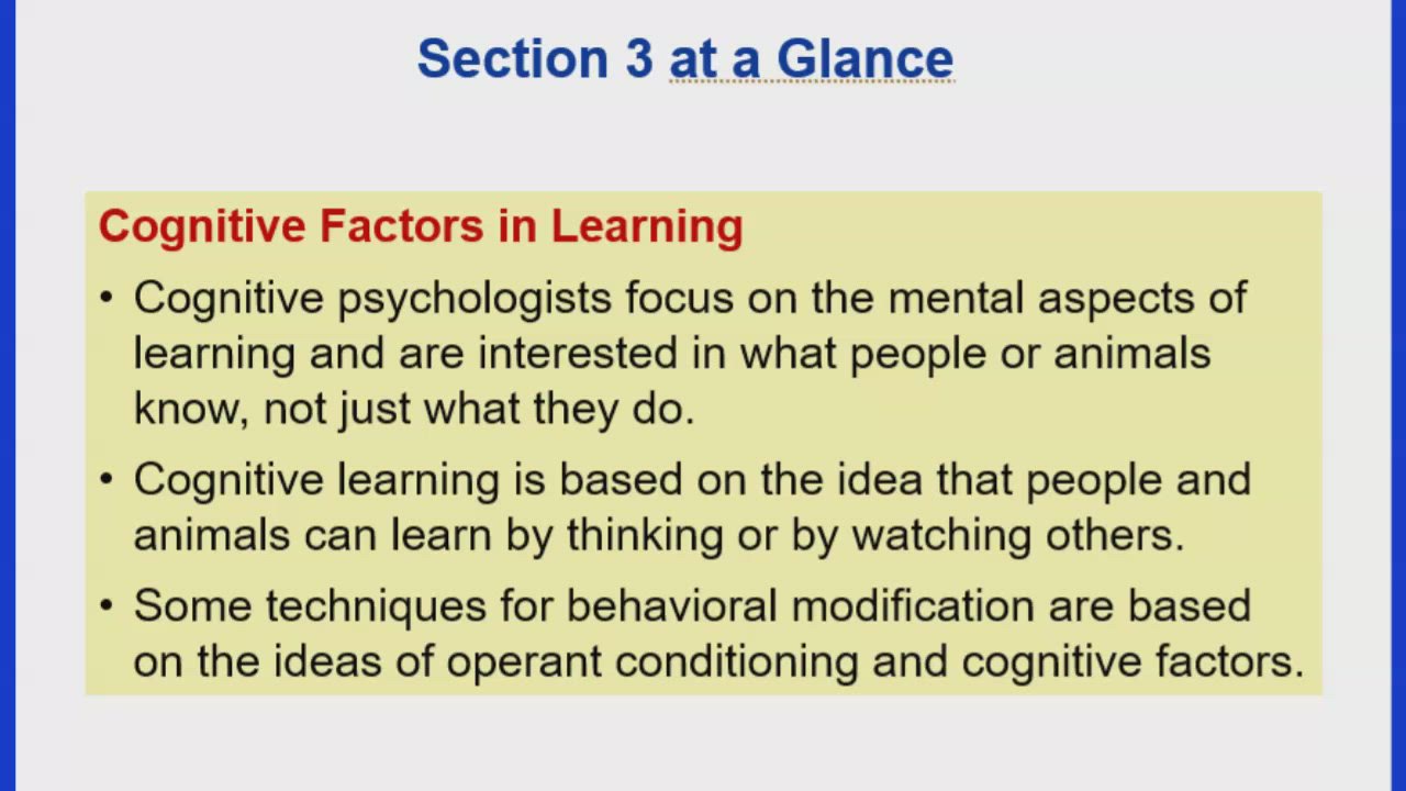 Psychology - Cognitive Learning Part 1 by Teacher MAS on Prezi Video
